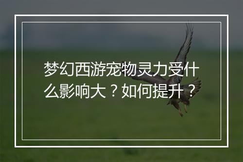 梦幻西游宠物灵力受什么影响大?如何提升?