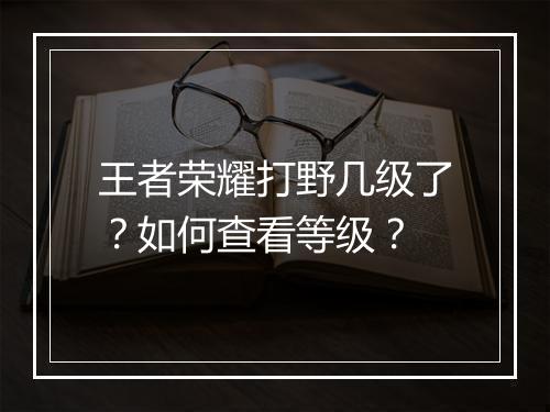 王者荣耀打野几级了？如何查看等级？