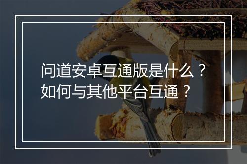 问道安卓互通版是什么?如何与其他平台互通?
