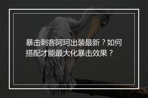 暴击刺客阿珂出装最新？如何搭配才能最大化暴击效果？