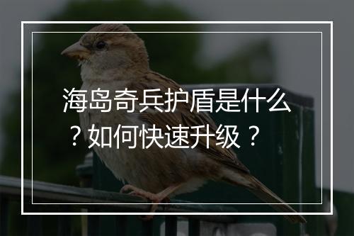 海岛奇兵护盾是什么?如何快速升级?