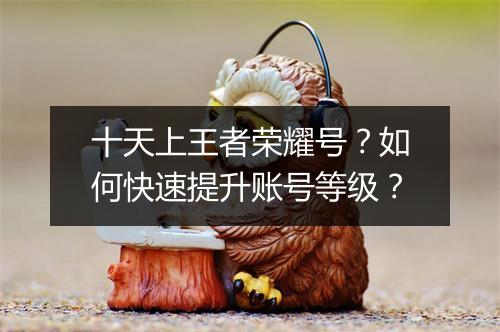 十天上王者荣耀号?如何快速提升账号等级?