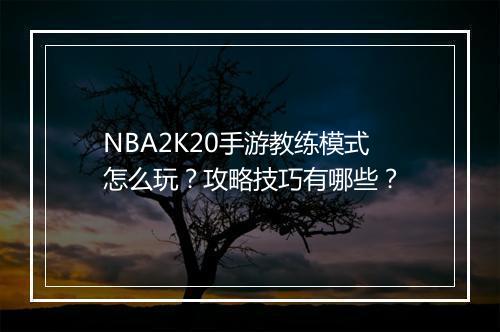 NBA2K20手游教练模式怎么玩?攻略技巧有哪些?