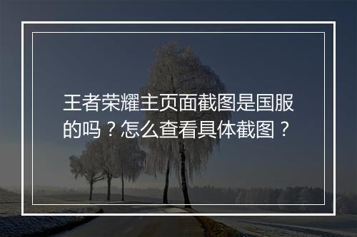 王者荣耀主页面截图是国服的吗？怎么查看具体截图？