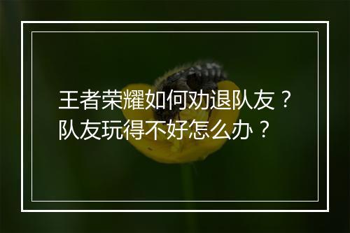 王者荣耀如何劝退队友？队友玩得不好怎么办？