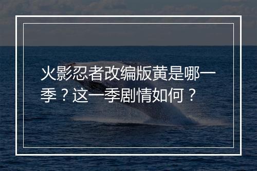 火影忍者改编版黄是哪一季？这一季剧情如何？