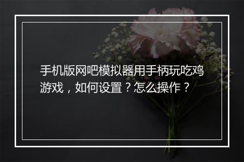 手机版网吧模拟器用手柄玩吃鸡游戏,如何设置?怎么操作?