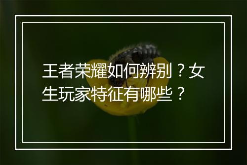 王者荣耀如何辨别？女生玩家特征有哪些？