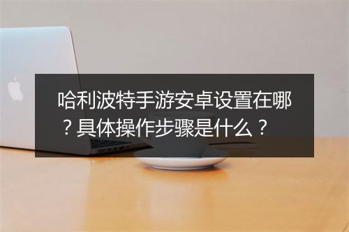 哈利波特手游安卓设置在哪？具体操作步骤是什么？