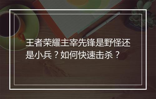 王者荣耀主宰先锋是野怪还是小兵?如何快速击杀?