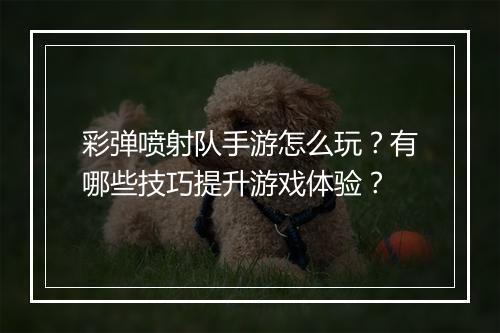 彩弹喷射队手游怎么玩?有哪些技巧提升游戏体验?