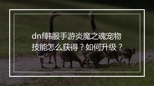 dnf韩服手游炎魔之魂宠物技能怎么获得？如何升级？