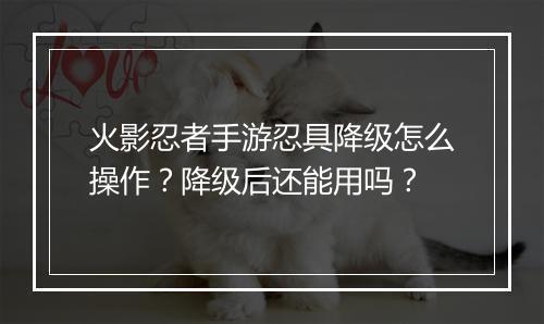 火影忍者手游忍具降级怎么操作?降级后还能用吗?