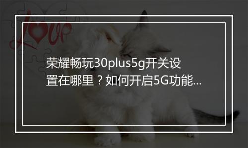 荣耀畅玩30plus5g开关设置在哪里？如何开启5G功能？