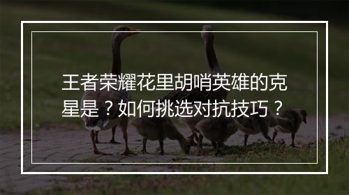 王者荣耀花里胡哨英雄的克星是？如何挑选对抗技巧？