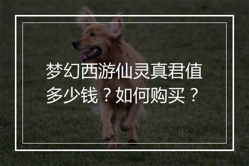 梦幻西游仙灵真君值多少钱？如何购买？