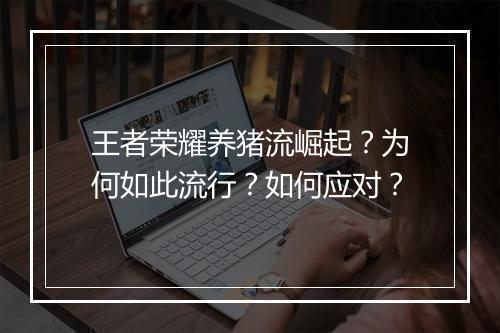王者荣耀养猪流崛起？为何如此流行？如何应对？