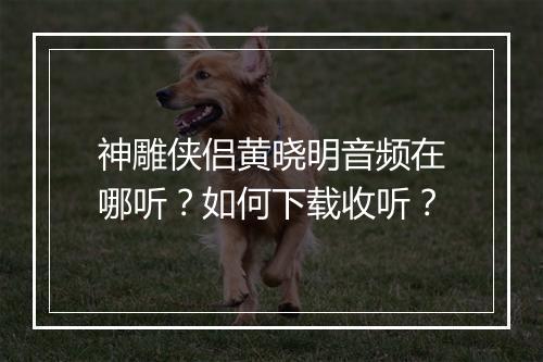 神雕侠侣黄晓明音频在哪听？如何下载收听？