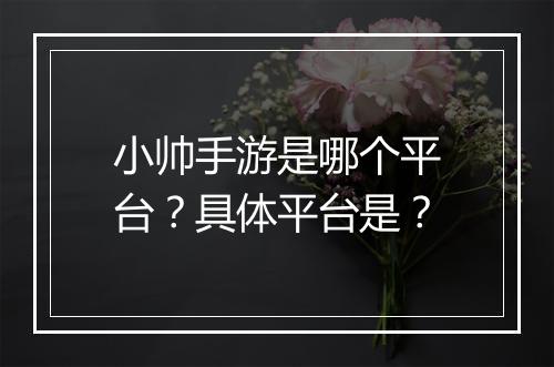 小帅手游是哪个平台？具体平台是？