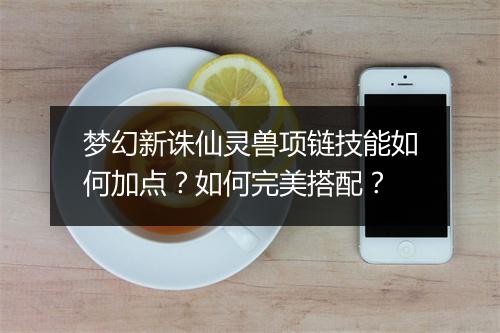 梦幻新诛仙灵兽项链技能如何加点？如何完美搭配？