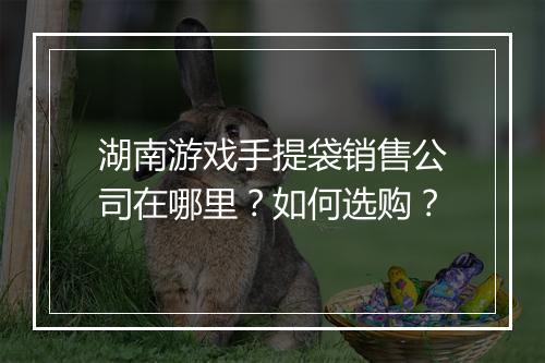 湖南游戏手提袋销售公司在哪里?如何选购?