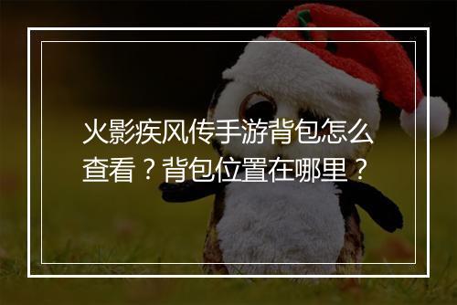 火影疾风传手游背包怎么查看？背包位置在哪里？