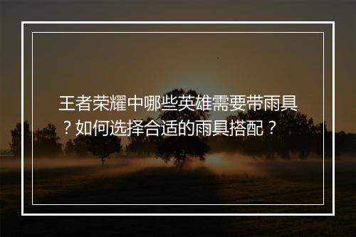 王者荣耀中哪些英雄需要带雨具?如何选择合适的雨具搭配?