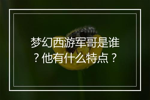 梦幻西游军哥是谁？他有什么特点？