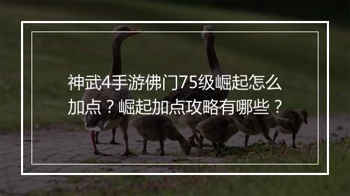 神武4手游佛门75级崛起怎么加点？崛起加点攻略有哪些？