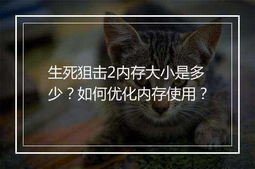 生死狙击2内存大小是多少？如何优化内存使用？