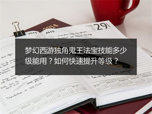 梦幻西游独角鬼王法宝技能多少级能用？如何快速提升等级？