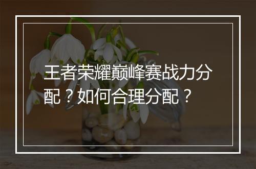 王者荣耀巅峰赛战力分配？如何合理分配？