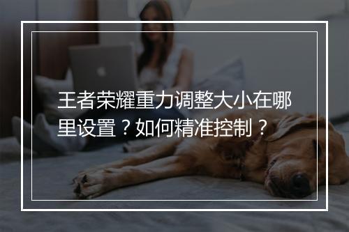 王者荣耀重力调整大小在哪里设置?如何精准控制?