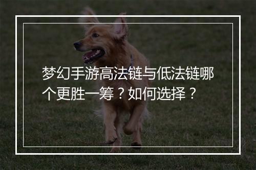 梦幻手游高法链与低法链哪个更胜一筹？如何选择？
