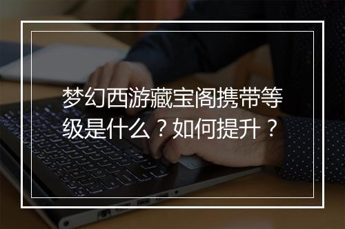 梦幻西游藏宝阁携带等级是什么?如何提升?