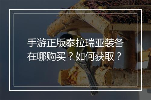 手游正版泰拉瑞亚装备在哪购买？如何获取？