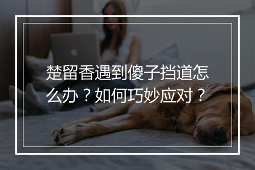 楚留香遇到傻子挡道怎么办？如何巧妙应对？