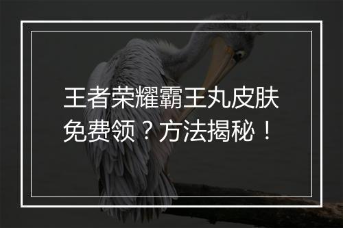 王者荣耀霸王丸皮肤免费领?方法揭秘!