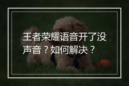 王者荣耀语音开了没声音？如何解决？