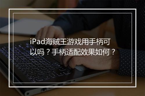 iPad海贼王游戏用手柄可以吗？手柄适配效果如何？