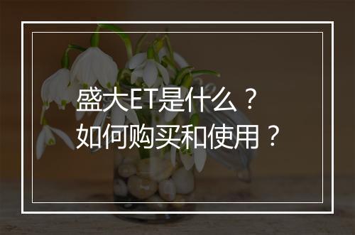 盛大ET是什么？如何购买和使用？