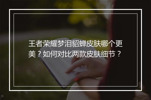 王者荣耀梦泪貂蝉皮肤哪个更美？如何对比两款皮肤细节？