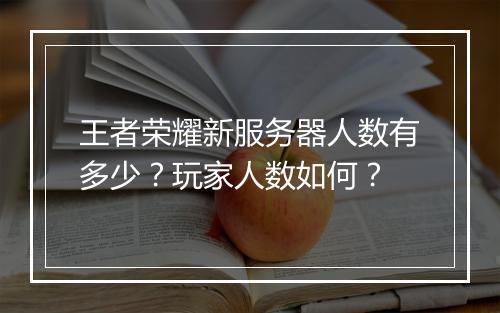 王者荣耀新服务器人数有多少？玩家人数如何？