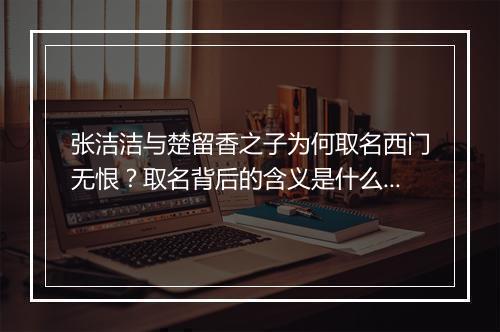 张洁洁与楚留香之子为何取名西门无恨？取名背后的含义是什么？
