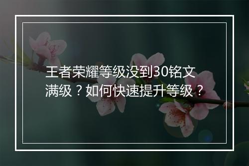 王者荣耀等级没到30铭文满级？如何快速提升等级？