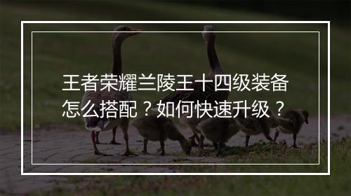 王者荣耀兰陵王十四级装备怎么搭配？如何快速升级？