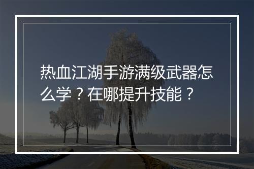 热血江湖手游满级武器怎么学?在哪提升技能?
