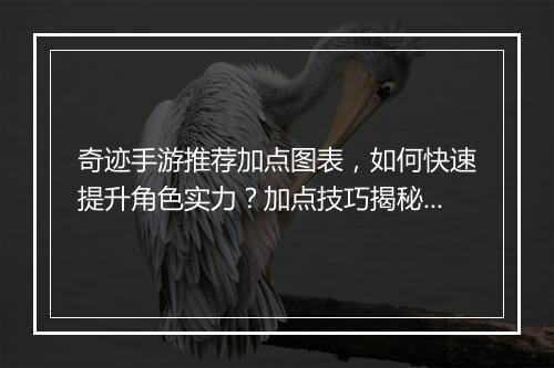 奇迹手游推荐加点图表，如何快速提升角色实力？加点技巧揭秘！