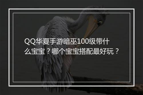 QQ华夏手游暗巫100级带什么宝宝？哪个宝宝搭配最好玩？