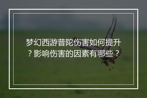 梦幻西游普陀伤害如何提升？影响伤害的因素有哪些？